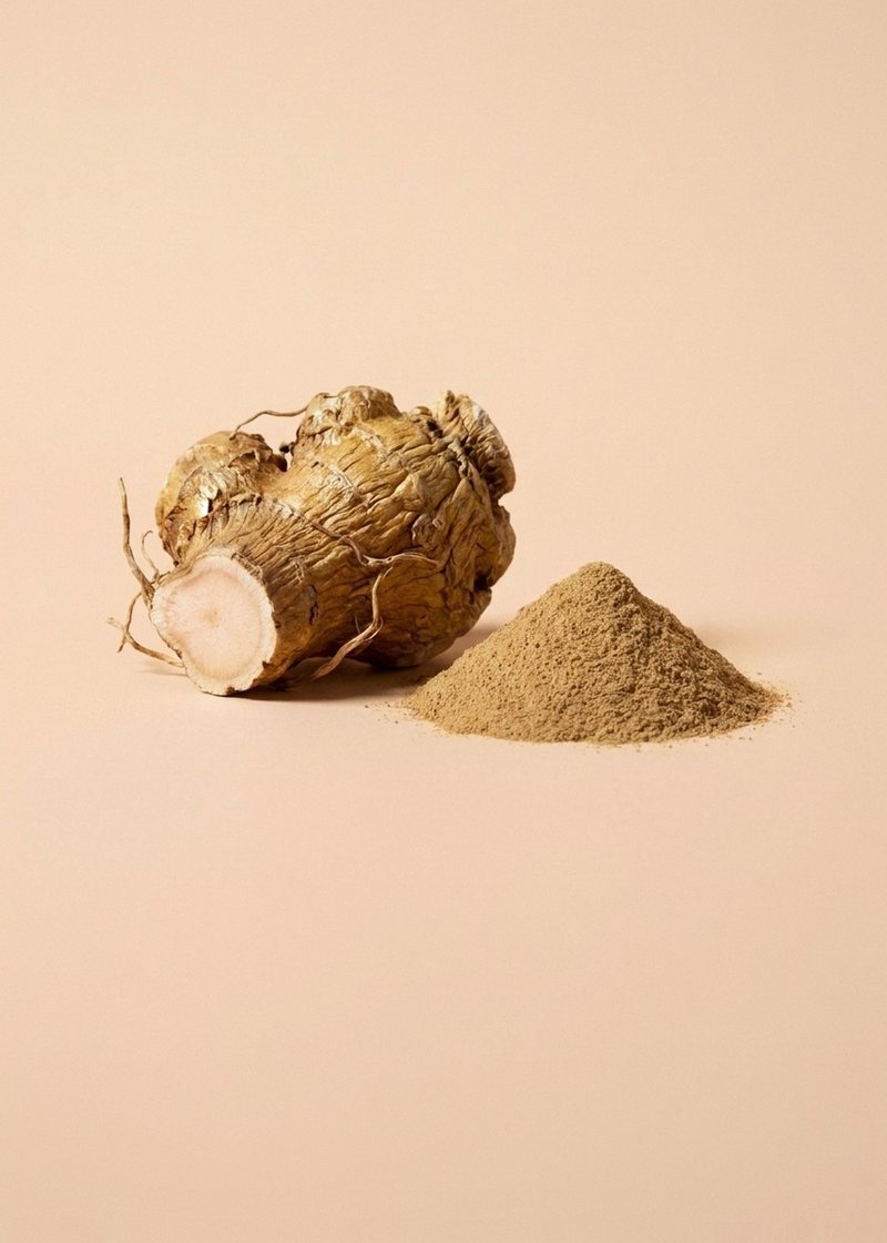 Dried rhodiola root beside a small mound of tan extract powder