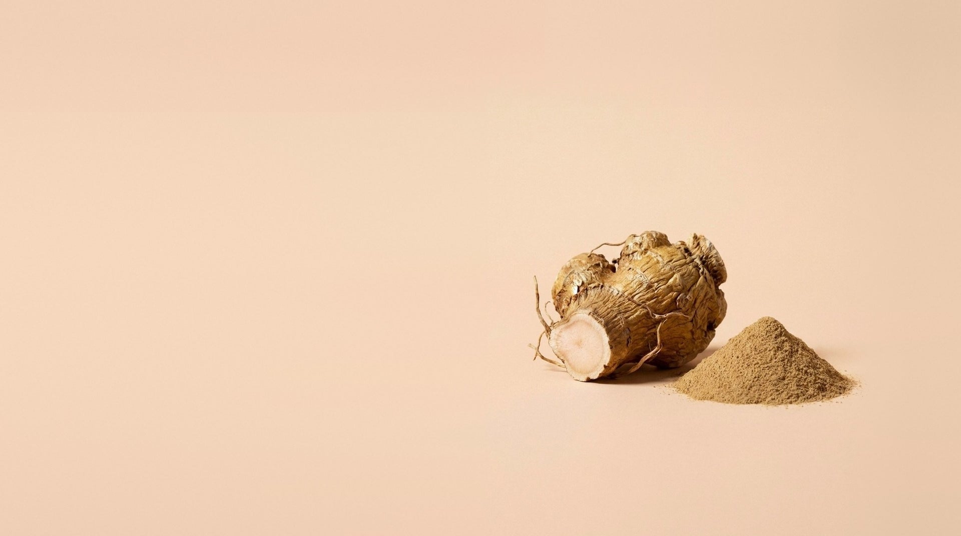 A dried rhodiola root beside a small mound of tan extract powder