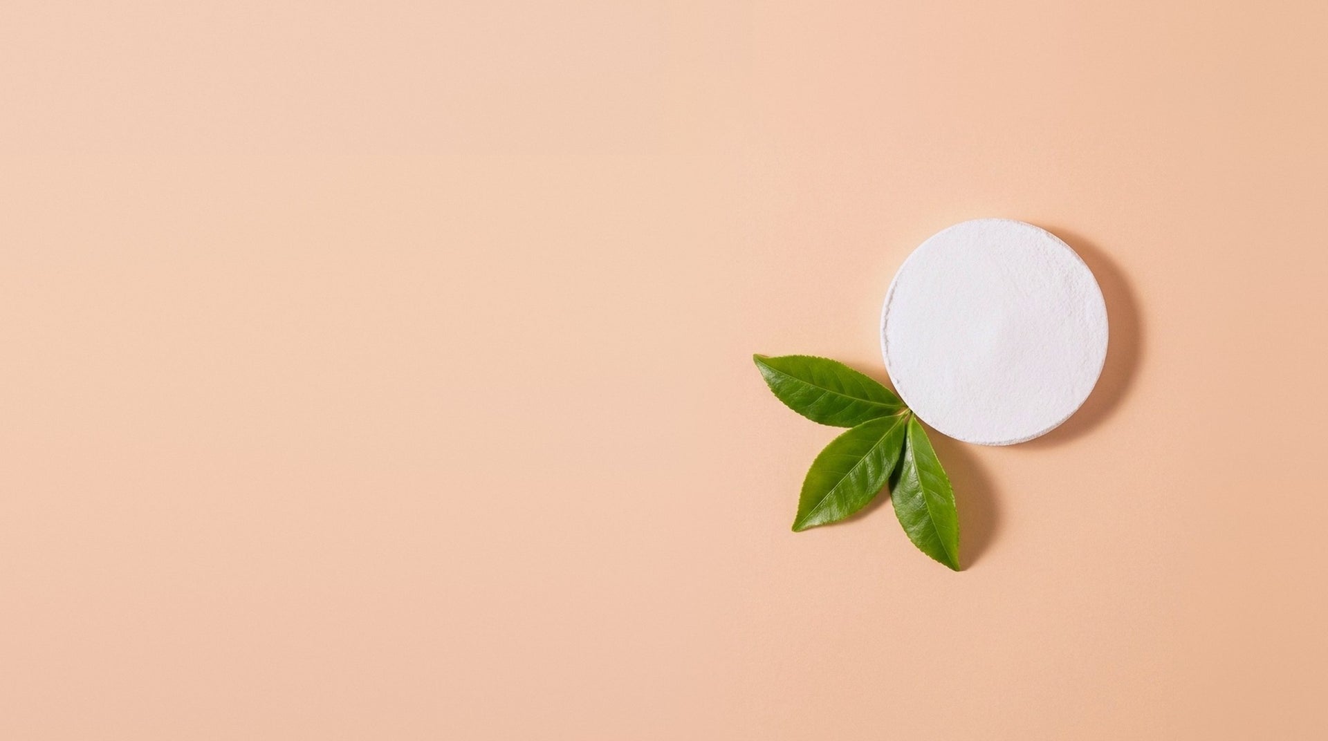 White L-theanine powder pressed into a disc, with three fresh tea leaves